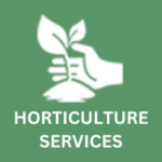 Tidy Touch Horticulture services