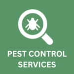 Tidy Touch Pest control services